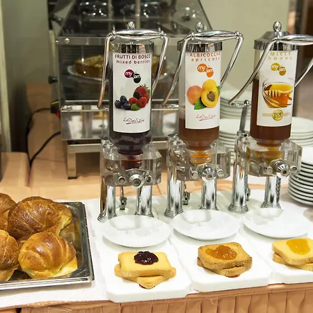 Hotel Michelangelo 4*